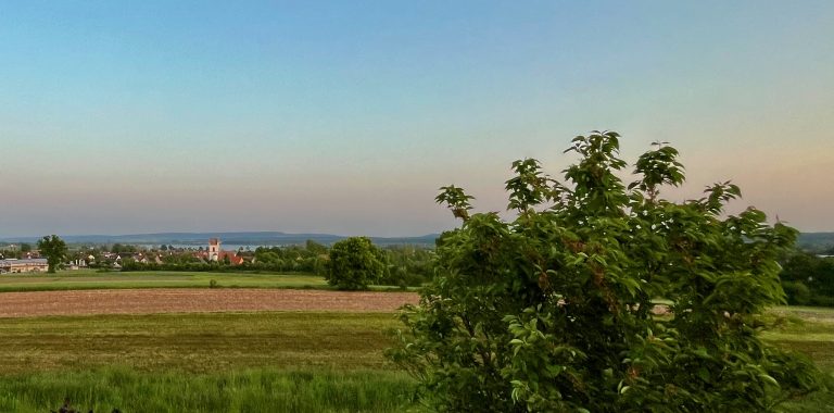Ausblick